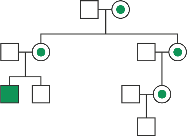 Pedigree Analysis Diagram - Diagram (685x474), Png Download