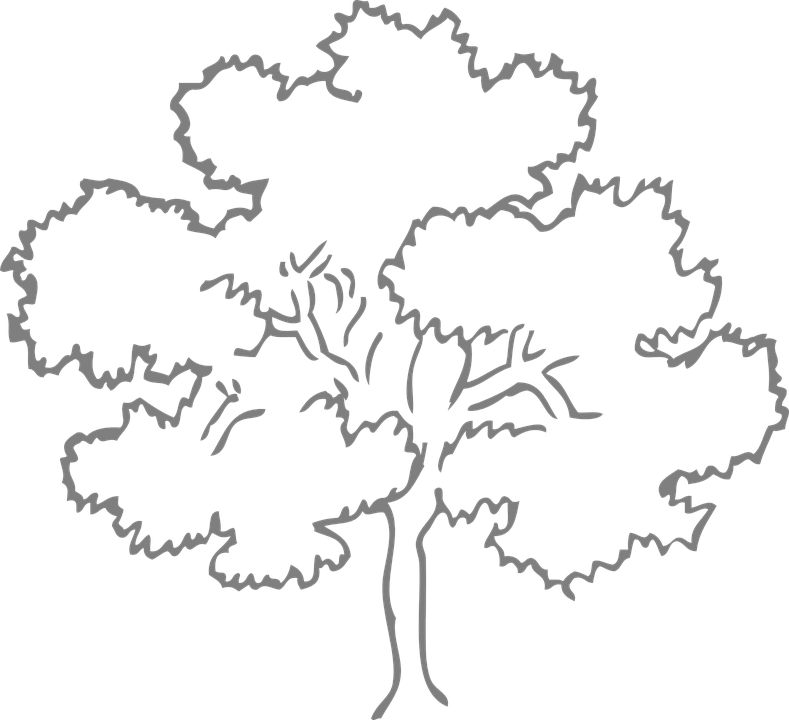 Example 1 In Black/white - Clip Art Trees Black And White (789x720), Png Download
