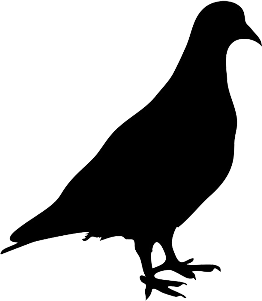 Pigeon Clipart Pegon Source - Silhouette Of Pigeon (952x1181), Png Download