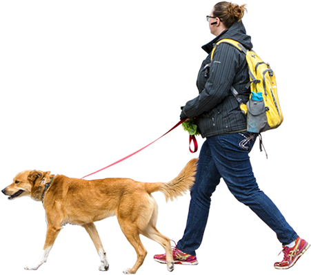 Woman Walking Dog Windy Day People Png, Cut Out People, - People Walking Dog Png (450x450), Png Download