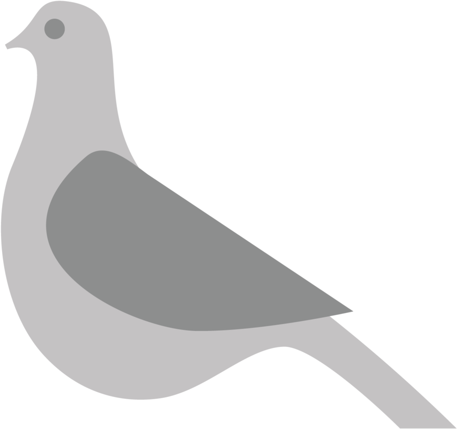 The Mooch Pigeon - Portable Network Graphics (1000x1000), Png Download