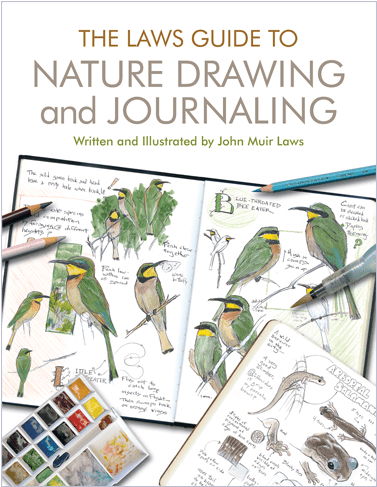 Nature Drawing And Journaling - Laws Guide To Nature Drawing And Journaling (paperback) (500x500), Png Download