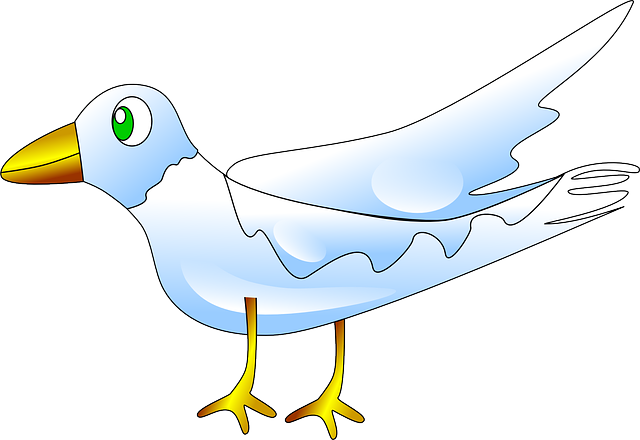 Bird, Animal, Fly, Nature, Dove, White, Pigeon - White Pigeons In Nature (640x440), Png Download