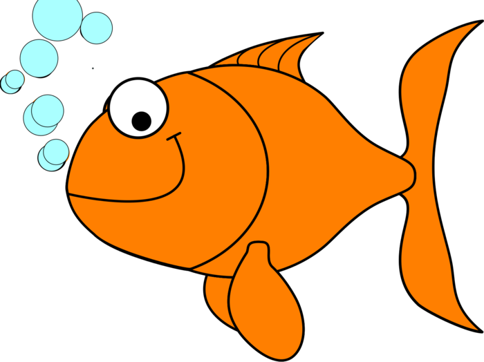 Clipart Fish Goldfish - Goldfish Clipart Png (700x524), Png Download