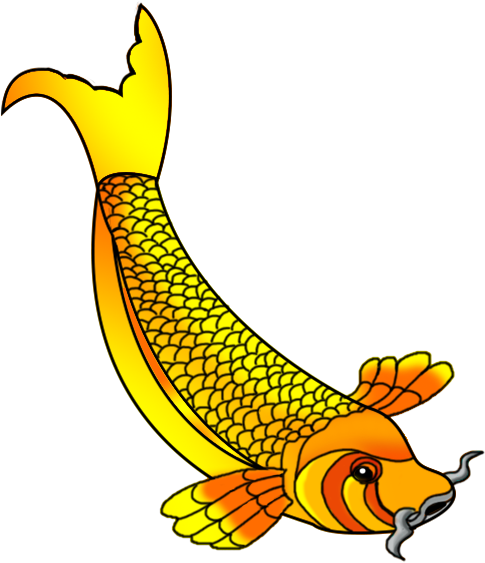 Drawn Gold Fish Koi Fish - Koi (536x662), Png Download