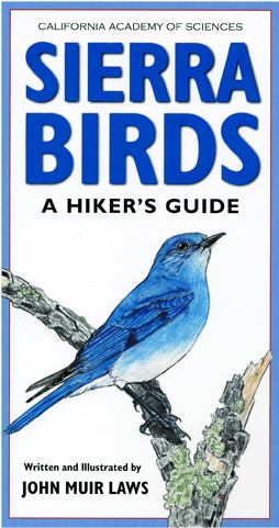 A Hiker's Guide - Sierra Birds: A Hiker's Guide (500x500), Png Download