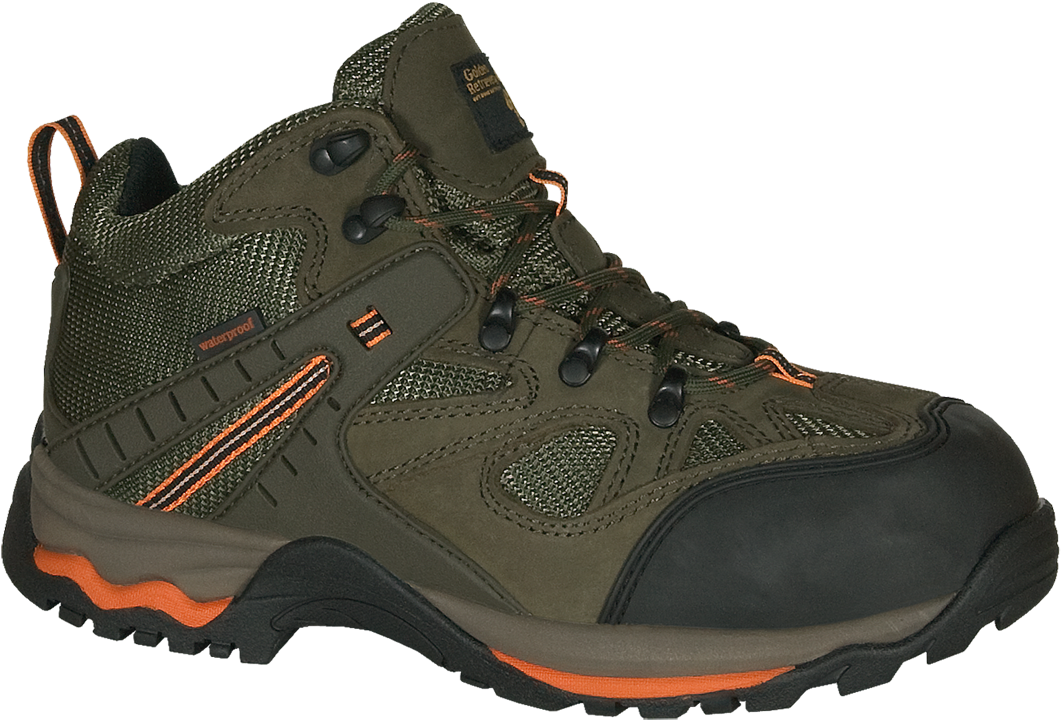 7566 - Golden Retriever Leather Mesh Hiker Ct - Mens 11 Green (1080x743), Png Download