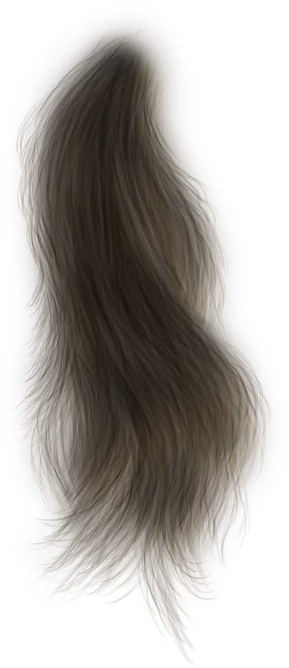 Photoshop, Hair Png, Doll Hair, Wigs, Hairstyles - Lace Wig (492x1000), Png Download