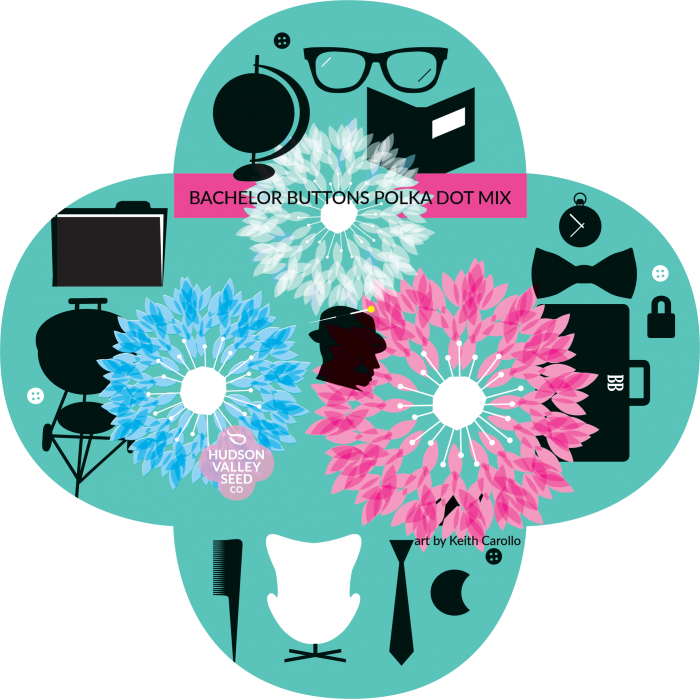 Bachelor Button Polka Dot Mix - Polka Dot (700x699), Png Download