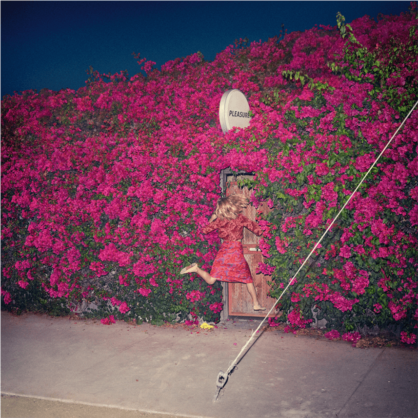 Feist I Wish I Didn T Miss You (1140x975), Png Download