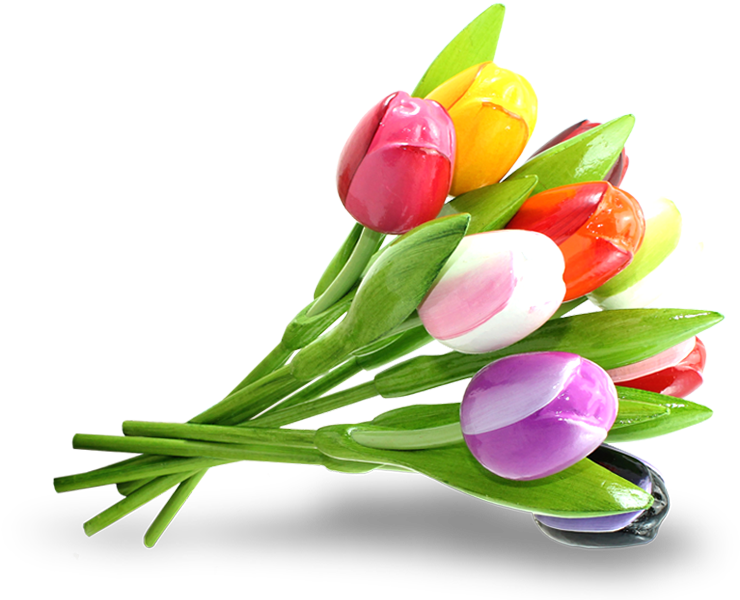 Download Tulips Bouquet Png Full Size PNG Image PNGkit