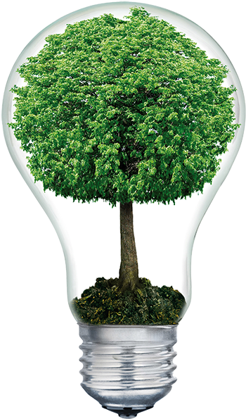 Do You Have Old Computer Technology - Light Bulb With Tree Inside Transparent (500x747), Png Download