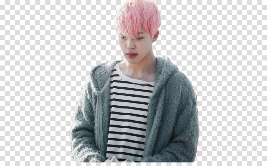 Jimin Png Clipart Bts Blood Sweat & Tears - Record Icon Transparent Background (900x560), Png Download