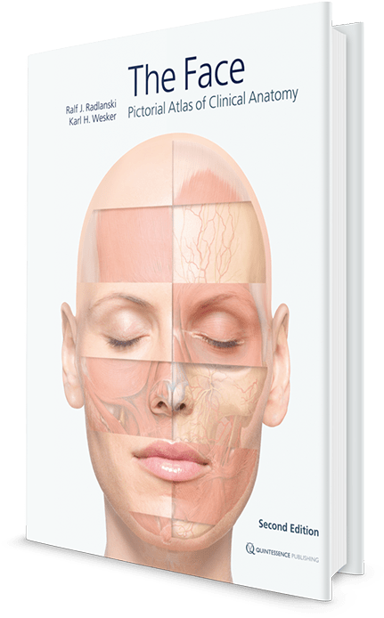 Twarz. Atlas Anatomii Klinicznej (568x715), Png Download
