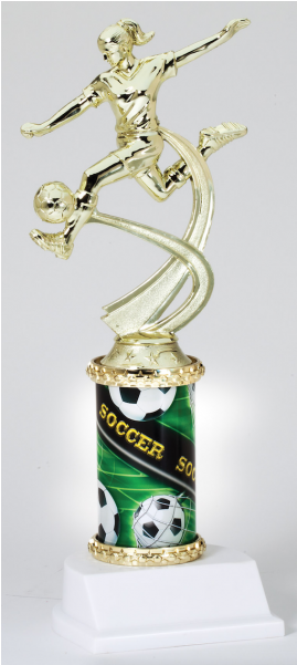 Previous - Next - Trophy (600x600), Png Download