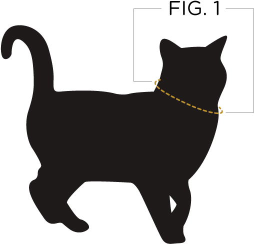 Take The Tape Measure And Wrap It Around Your Cats - Christmas Poisons For Pets (810x504), Png Download