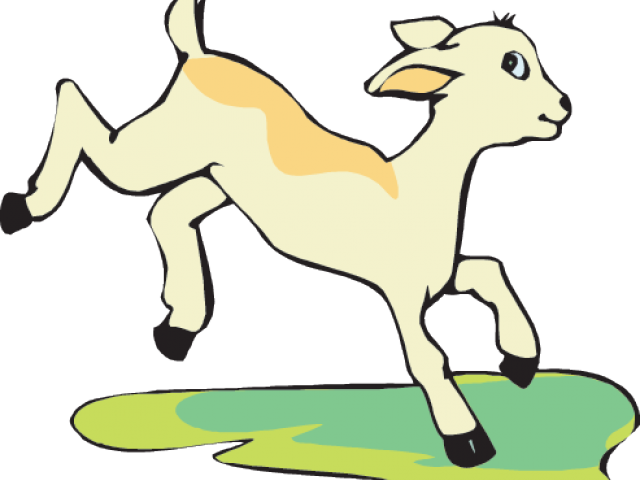 Cartoon Baby Goat (640x480), Png Download