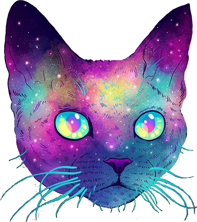 Cat Galaxy (633x712), Png Download