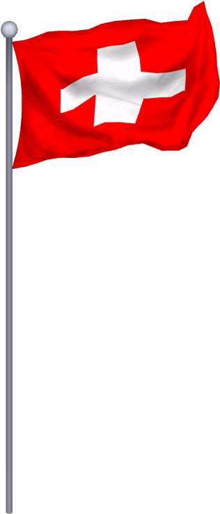 World Flags 49 - Flag (738x738), Png Download