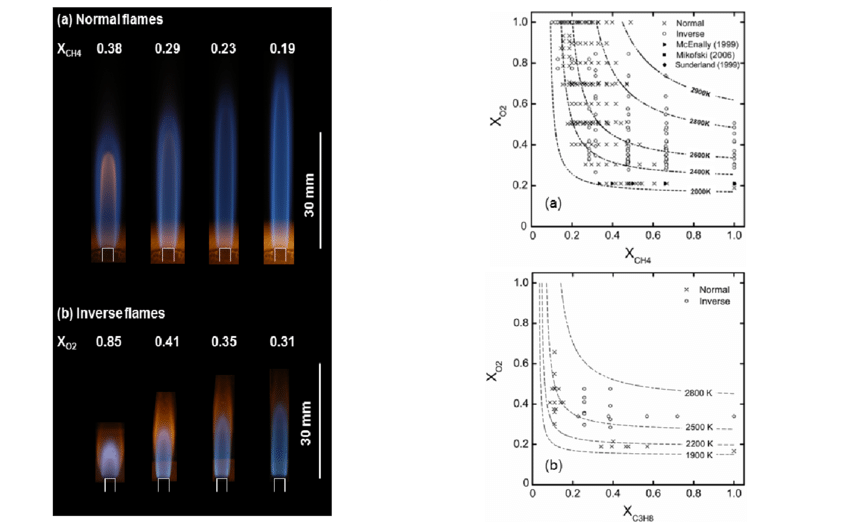 Color Images Of Representative Normal And (b) Inverse - Diagram (850x522), Png Download