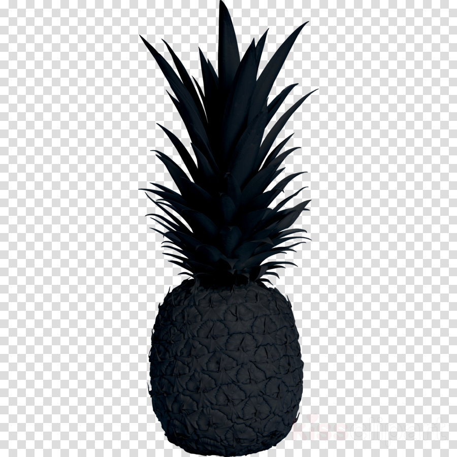 Pineapple - Spring Flower Transparent Background Black (900x900), Png Download