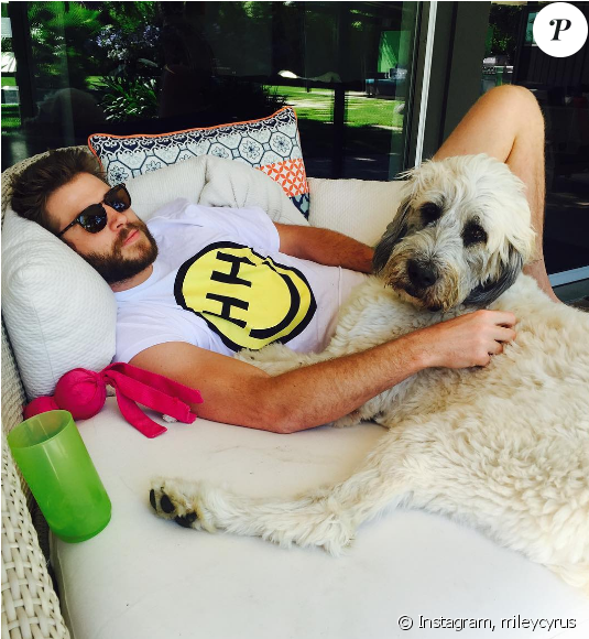 Miley Cyrus A Publié Une Photo De Son Chéri Liam Hemsworth - Liam Hemsworth And Dogs (950x579), Png Download