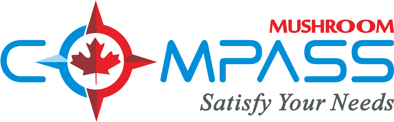 Shiitake Mushroom And Smoked Tofu Stir Fry - Antioxidant (1501x559), Png Download