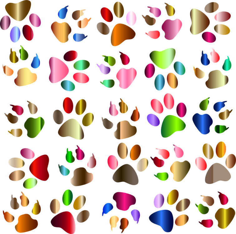 Paw Dog Printing Computer Icons - Colorful Paw Prints (756x750), Png Download