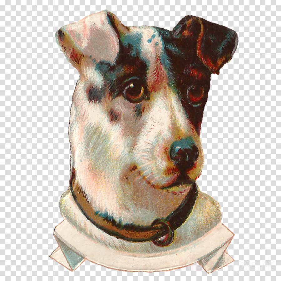 Terrier Clipart Smooth Fox Terrier Jack Russell Terrier - Terrier (900x900), Png Download
