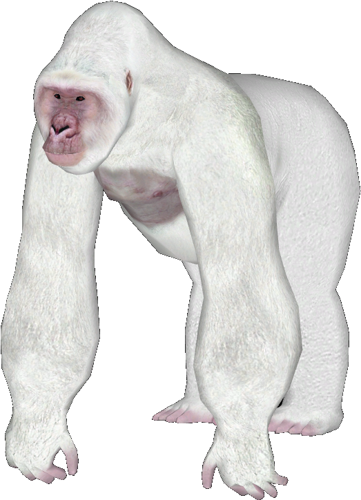 Gorilla5 - Dog Licks (743x799), Png Download