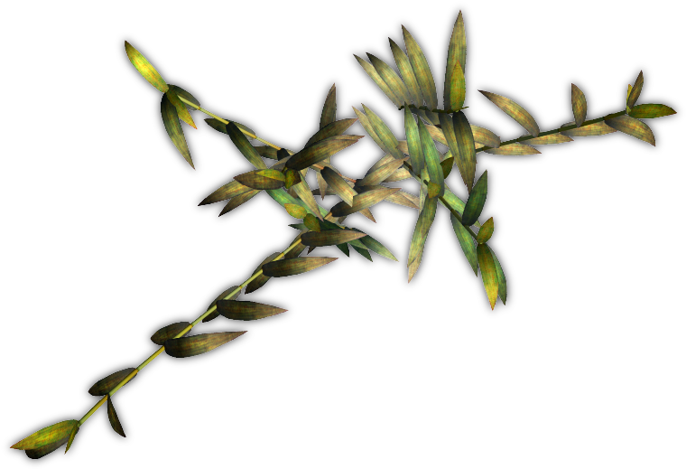 Bamboo Jcd H 06 Feb 2009 - Twig (771x529), Png Download