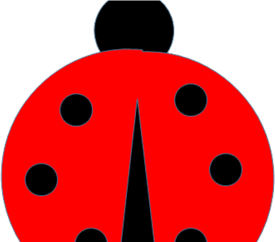 Are Ladybugs Is A Good Luck Or Bad Luck (640x480), Png Download