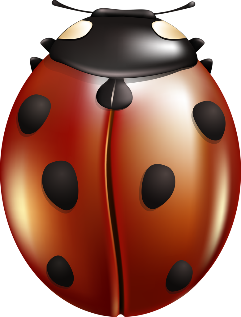 Shutterstock 291132983 [преобразованный] (779x1024), Png Download