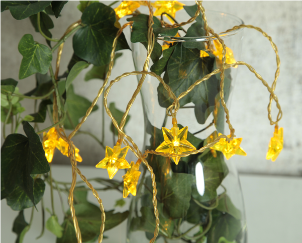 Light Chain Starz - Caesalpinia (600x600), Png Download