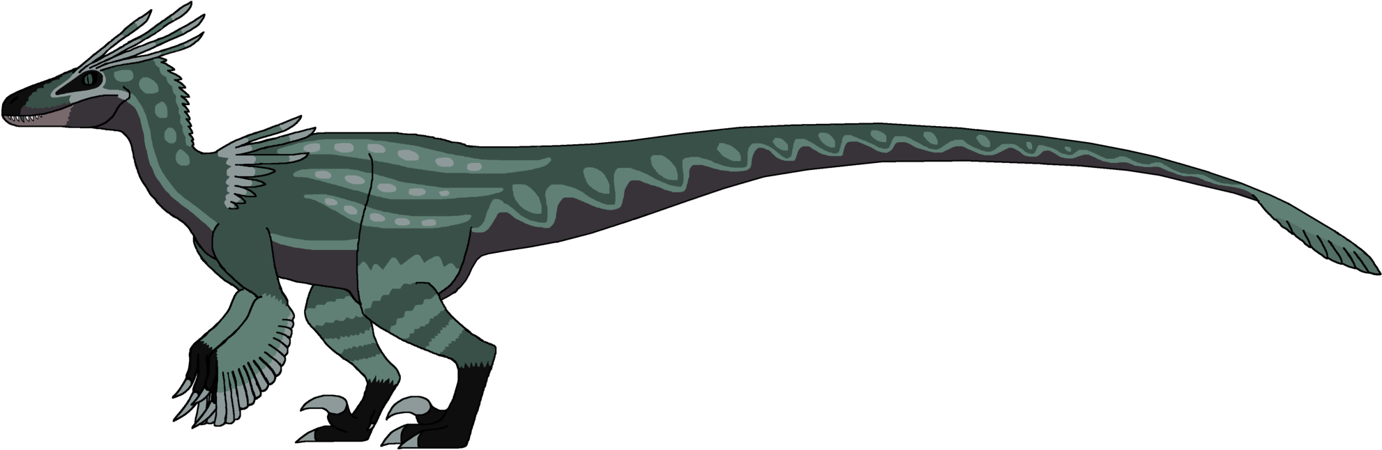 2000cb=20170113162317 - Dakotaraptor (2000x663), Png Download