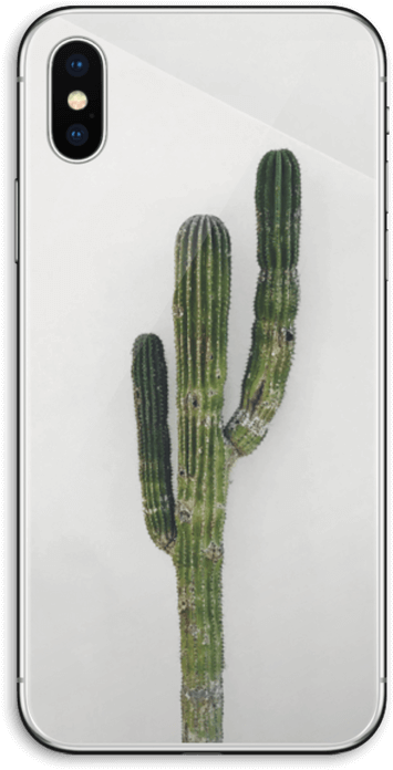 Mexican Cactus - Iphone Xs (395x800), Png Download