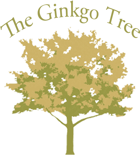 The Ginkgo Tree - Maidenhair Tree (609x640), Png Download
