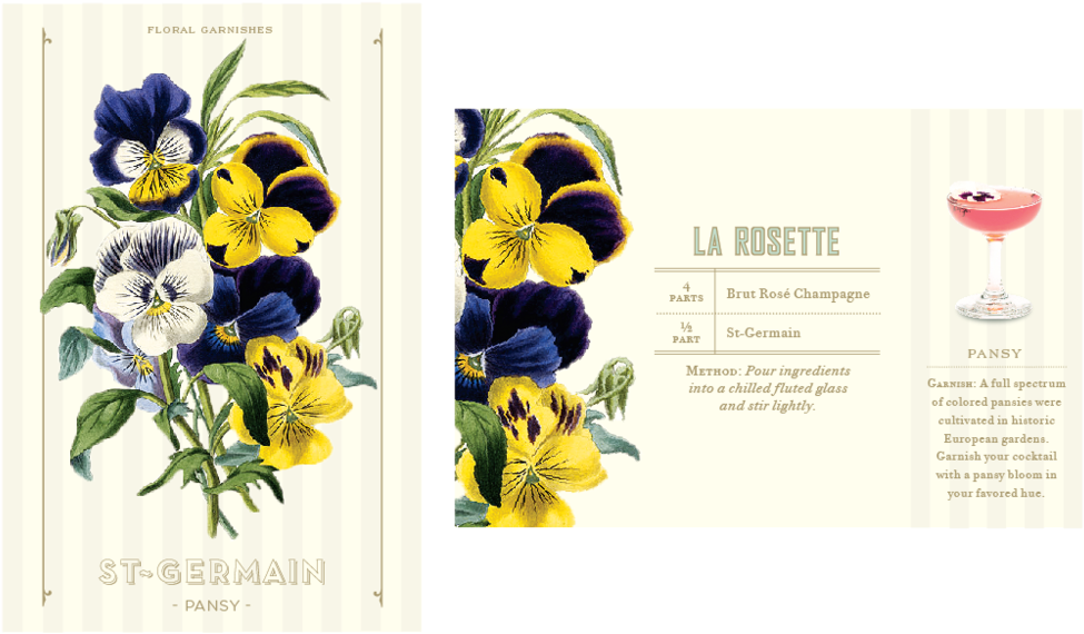 Flower Pres-04 - Pansy Botanical Print (1000x624), Png Download