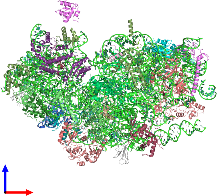Pdb 3j7a Coloured By Chain And Viewed From The Front (800x800), Png Download