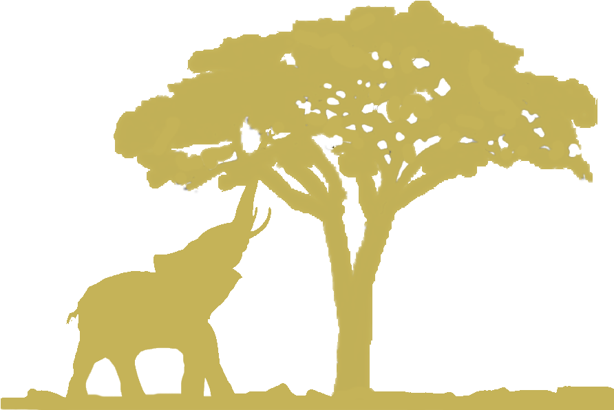 Come And Explore With Us The Enchantment That Is Maniago's - Silhouette (891x688), Png Download