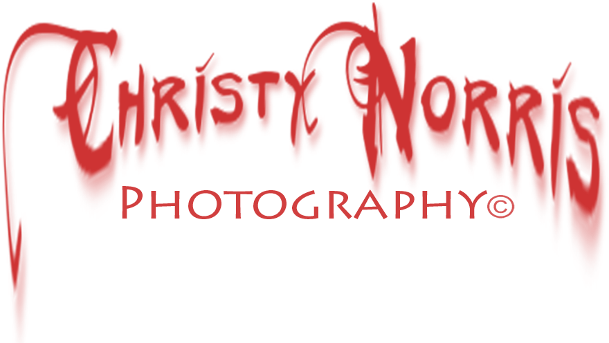 Christy Norris Photography Facebook (1000x600), Png Download