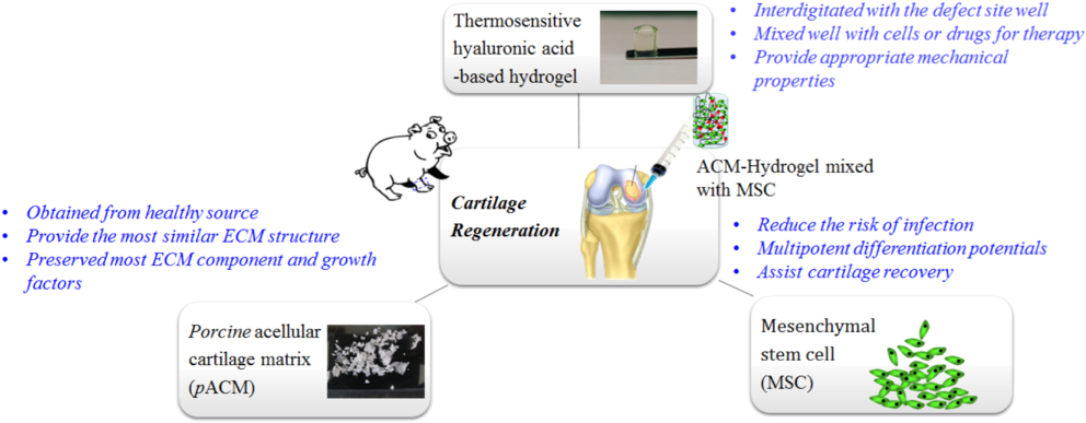 Acm Strategy - Strategy (1024x417), Png Download