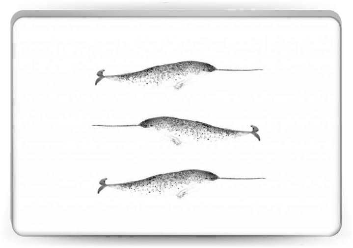 Narwhale Skin Laptop (800x533), Png Download