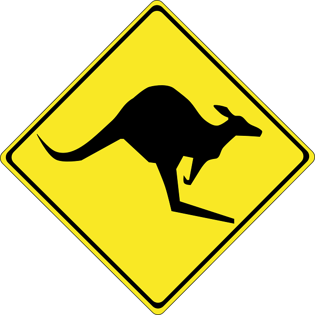 Svg Black And White Forgetmenot Kangaroos Silhouettes - Kangaroo Crossing Sign (640x640), Png Download