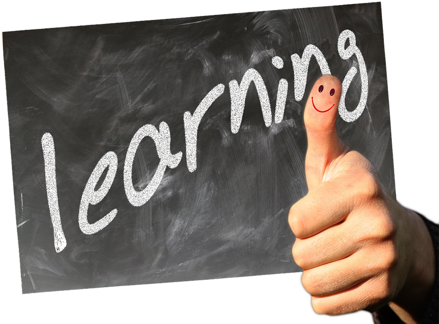 Web Training Courses - Imagenes De Gorditas Positivas Frases (950x720), Png Download