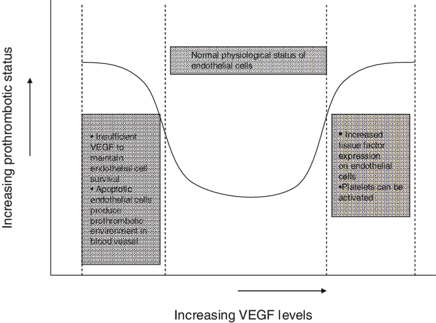 Relationship Between Vegf Concentration And Prothrombotic (850x631), Png Download