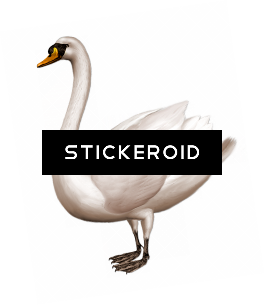 Black Swan - Swan Png (529x609), Png Download