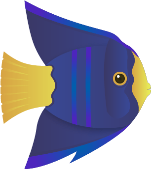 Angelfish (789x413), Png Download