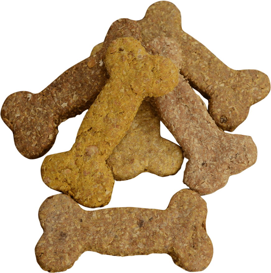 Small Dog Biscuits-variety Pack - Gingerbread (1000x1000), Png Download