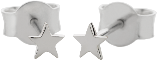 Silver Meadowlark - Earrings (1008x1512), Png Download